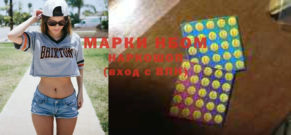 СК Алексин