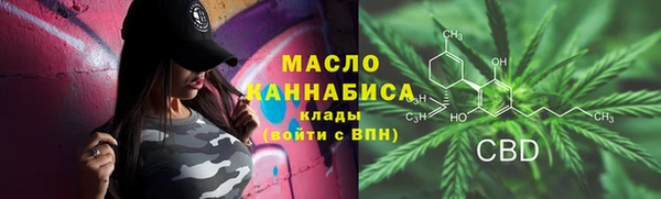 СК Алексин
