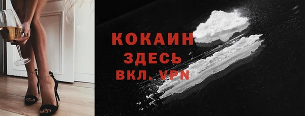 стаф Абинск