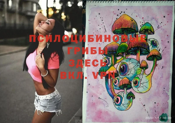 гидропоника Алексеевка