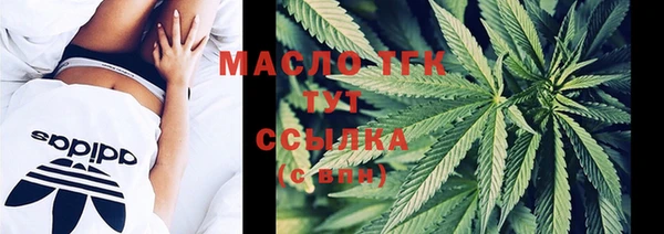 СК Алексин
