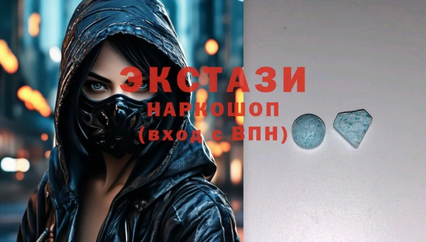 СК Алексин
